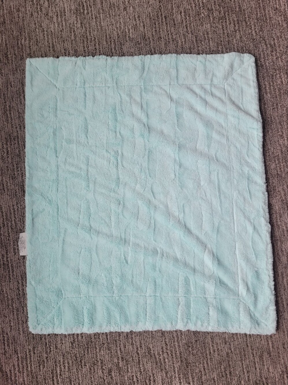 Light Blue Baby Minky Blanket